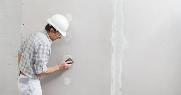 Best Water-Damaged Drywall Repair  in Lemoyne, PA